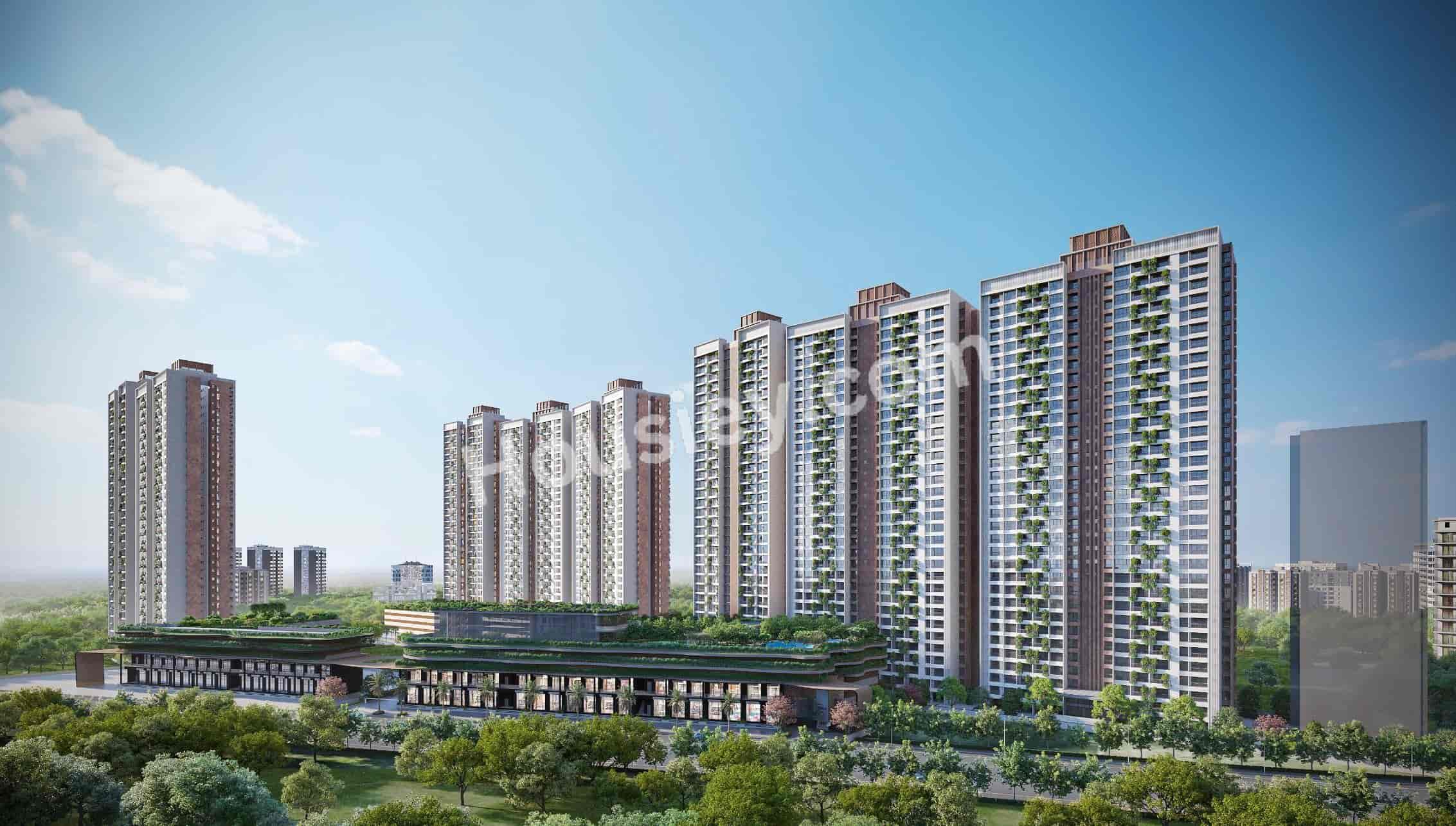 Austin Lush Pune