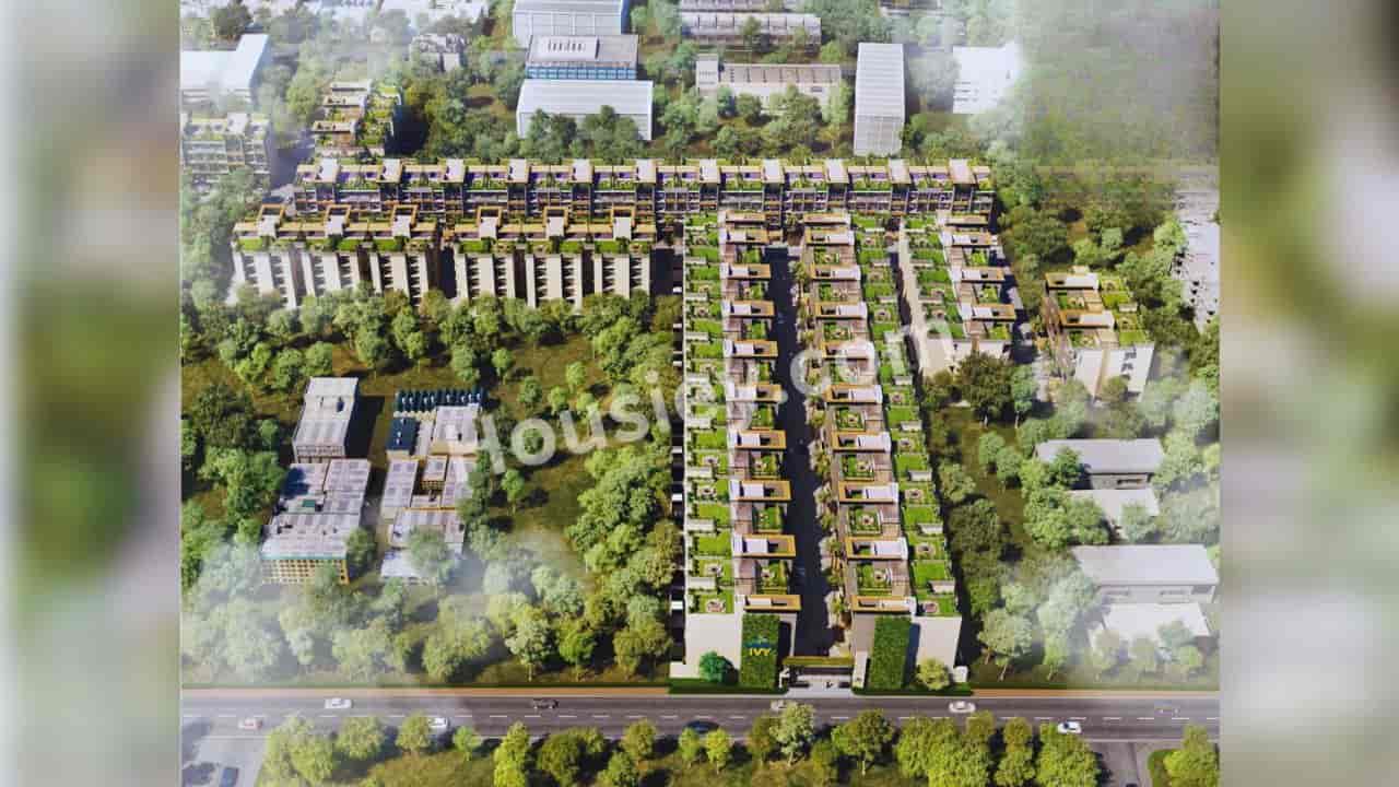 Orchid Ivy Gurugram
