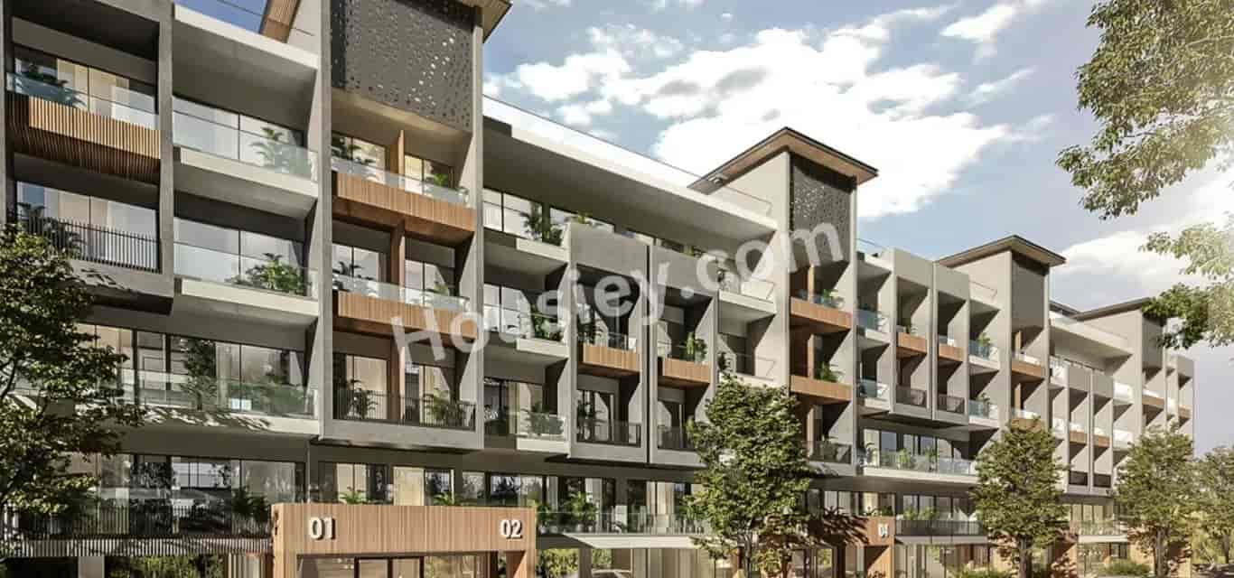 Orchid Ivy Gurugram