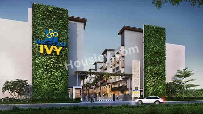 Orchid Ivy Gurugram