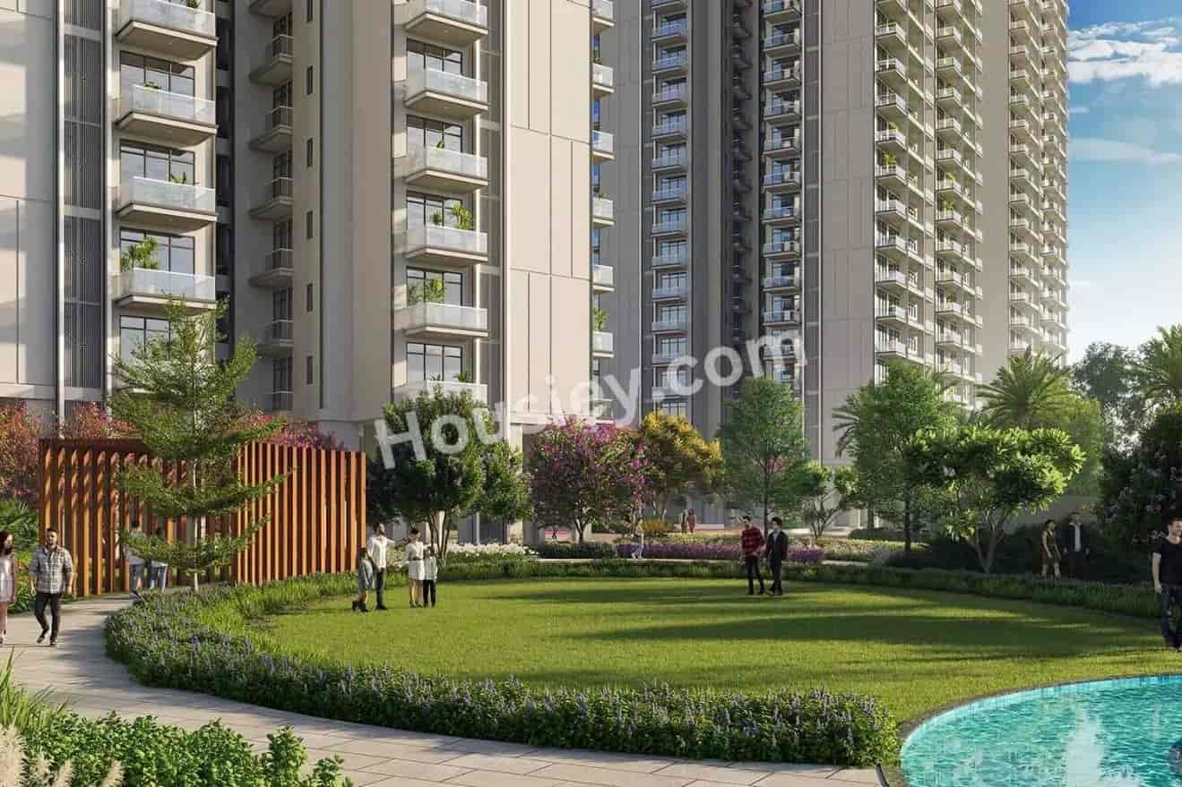 SS Camasa Gurugram