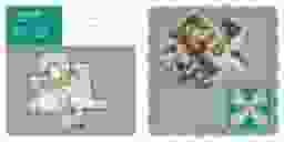 unit-img