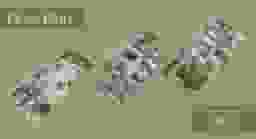 unit-img