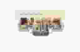 unit-img