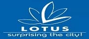 Lotus Group the City