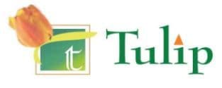 Tulip Infratech
