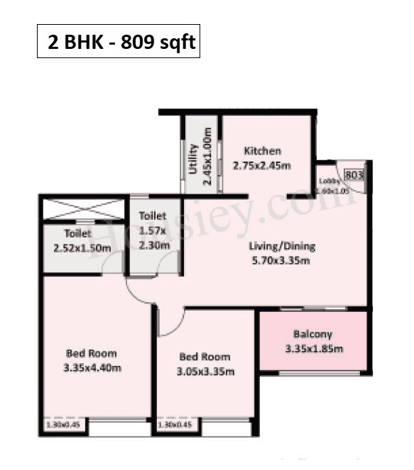 Nyati Era Unit plan - 809 sq.ft.