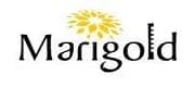 Marigold Constructions