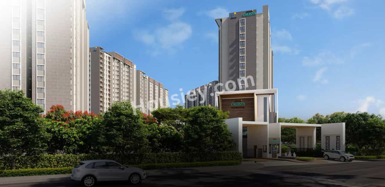 Project image 10