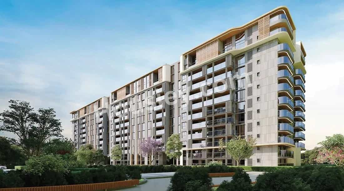Project image 1