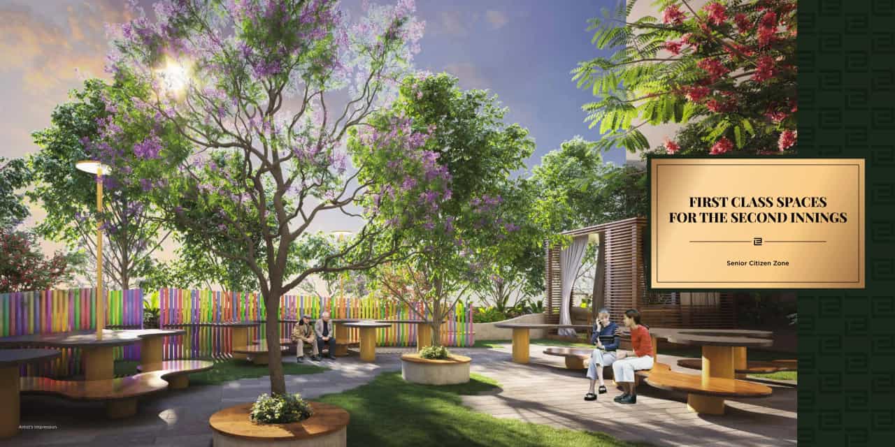 Project image 16