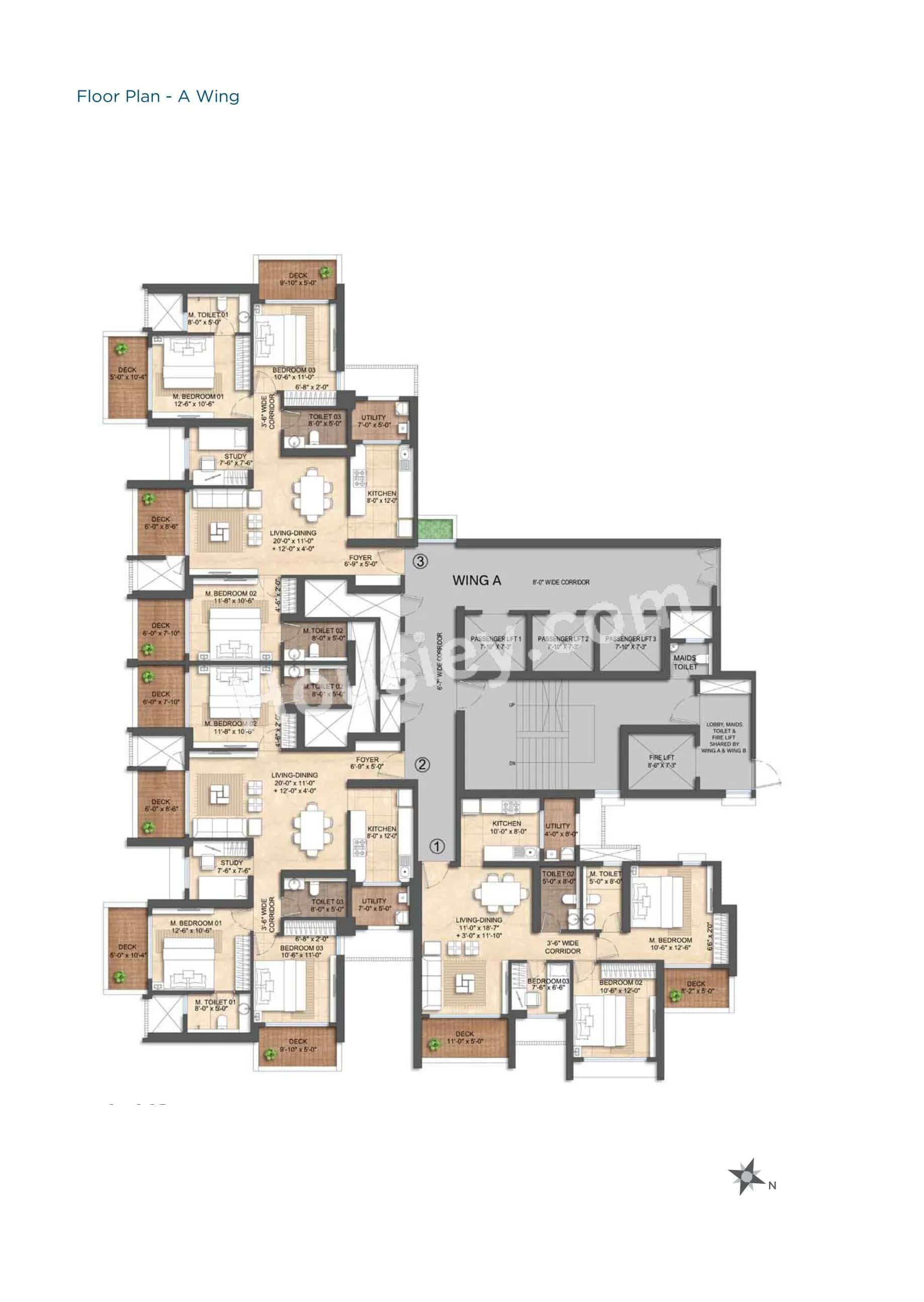 Floor plan 1