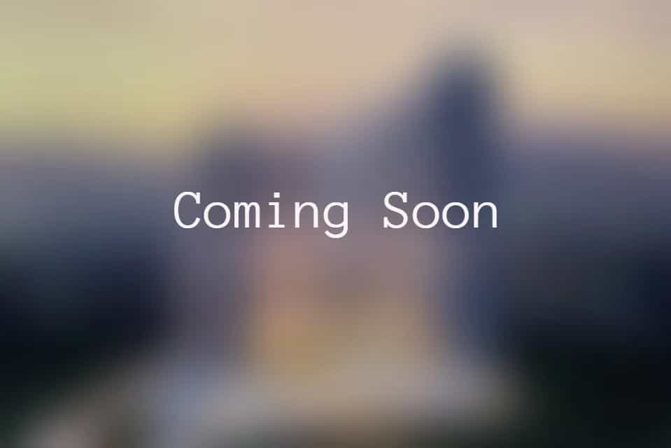Project image 4