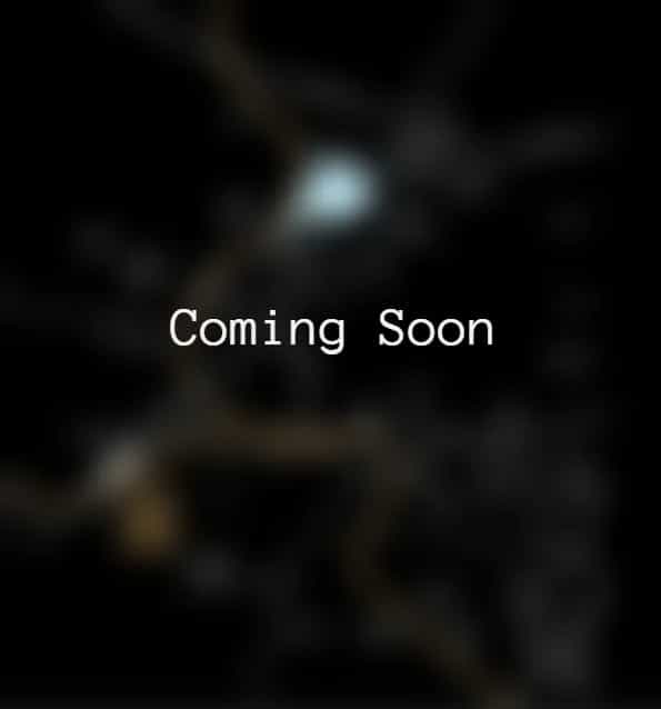 Project image 5