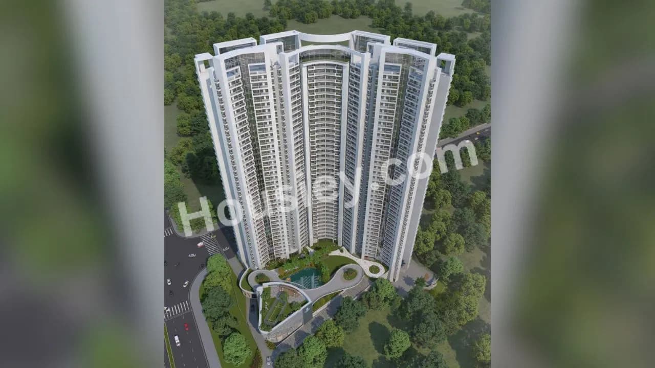 Mahavir Spring Daffodil