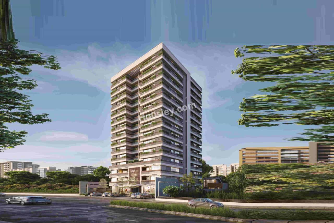 Project image 1