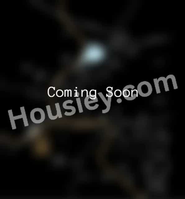 Project image 3