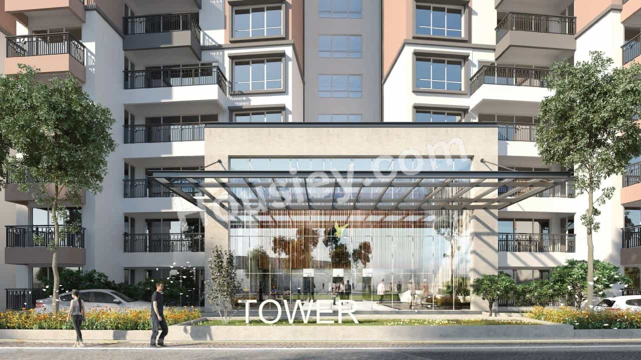Project image 5