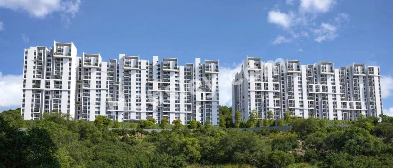 Rohan Saroha Phase 1