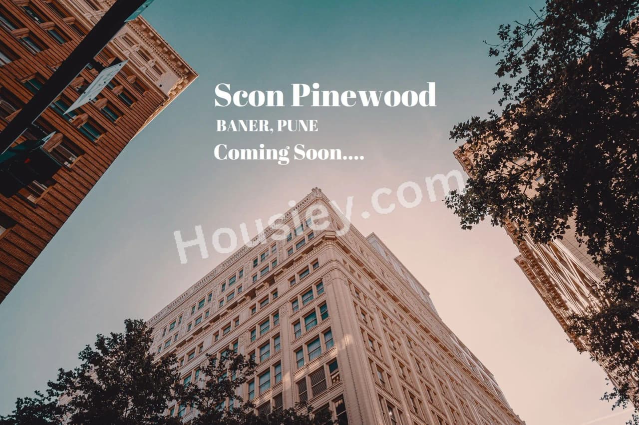 Scon Pinewood