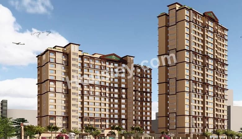 Shantee Sunshine Meadows