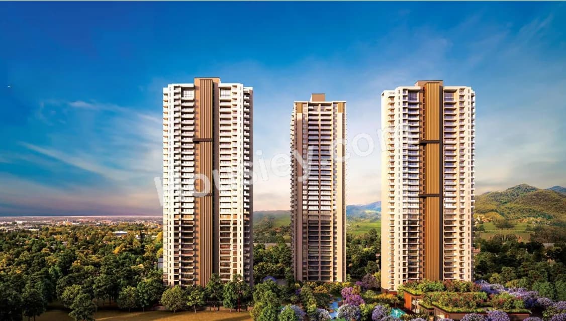 Silverglades The Legacy