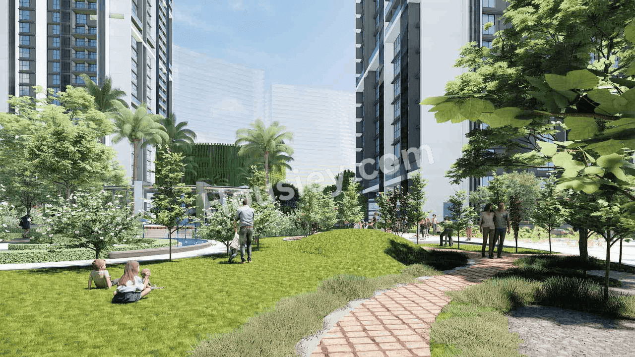 Project image 5