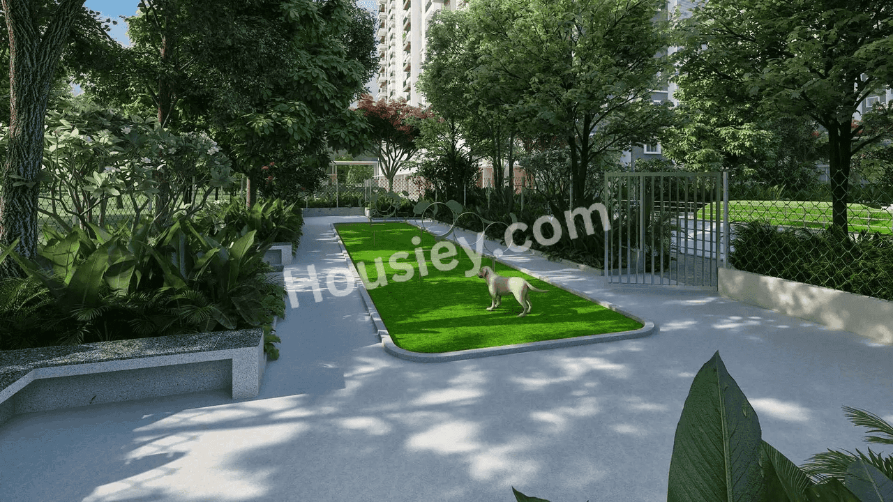 Project image 12