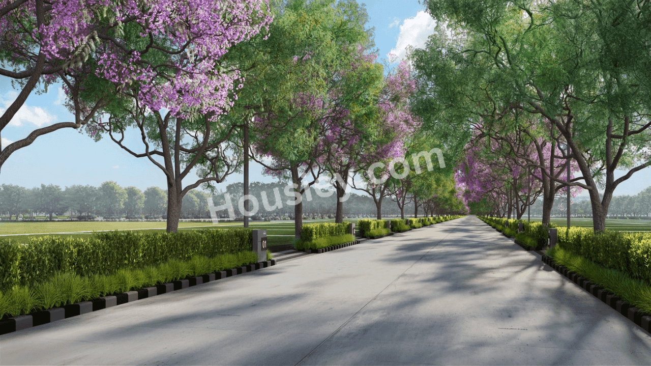 Project image 11