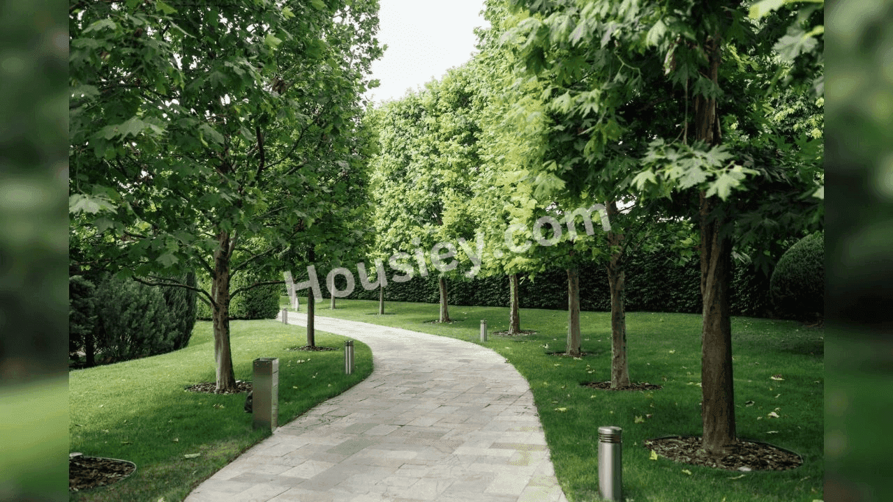Project image 15