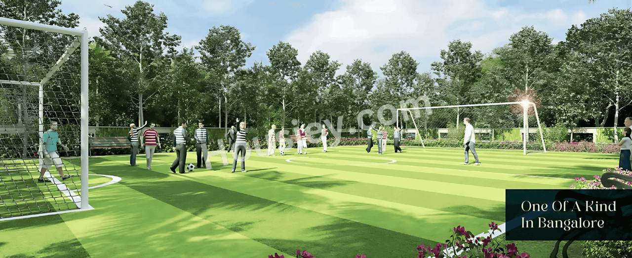 Project image 11