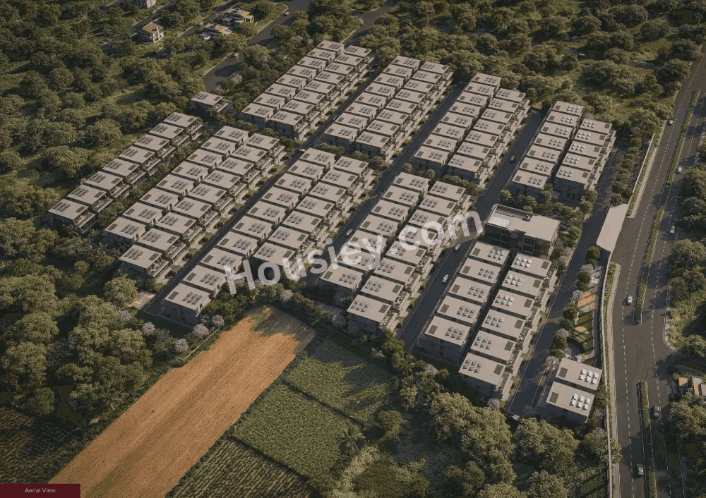 Project image 10