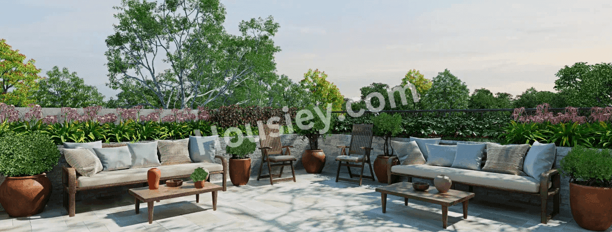 Project image 6