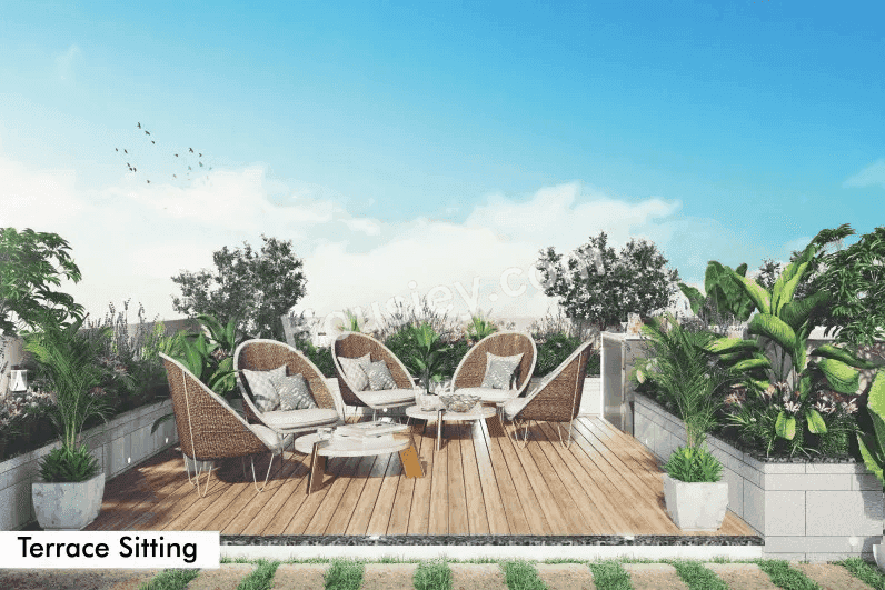 Project image 6