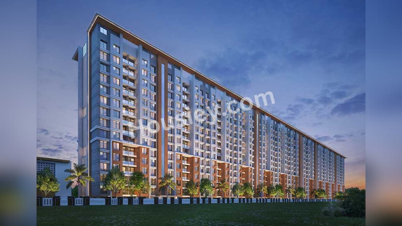 Excellaa Platina Collection