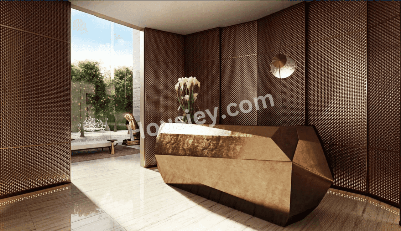 Project image 17