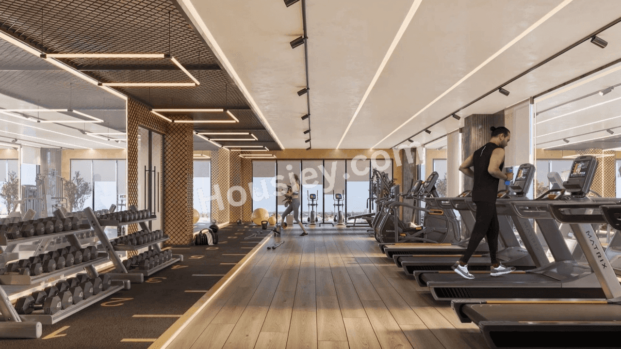 Project image 15