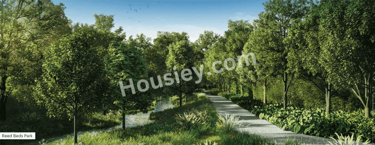Project image 14