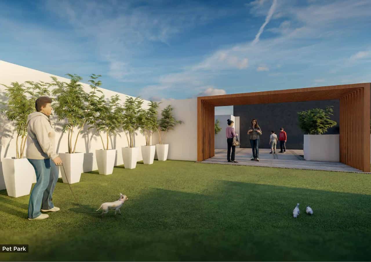 Project image 9