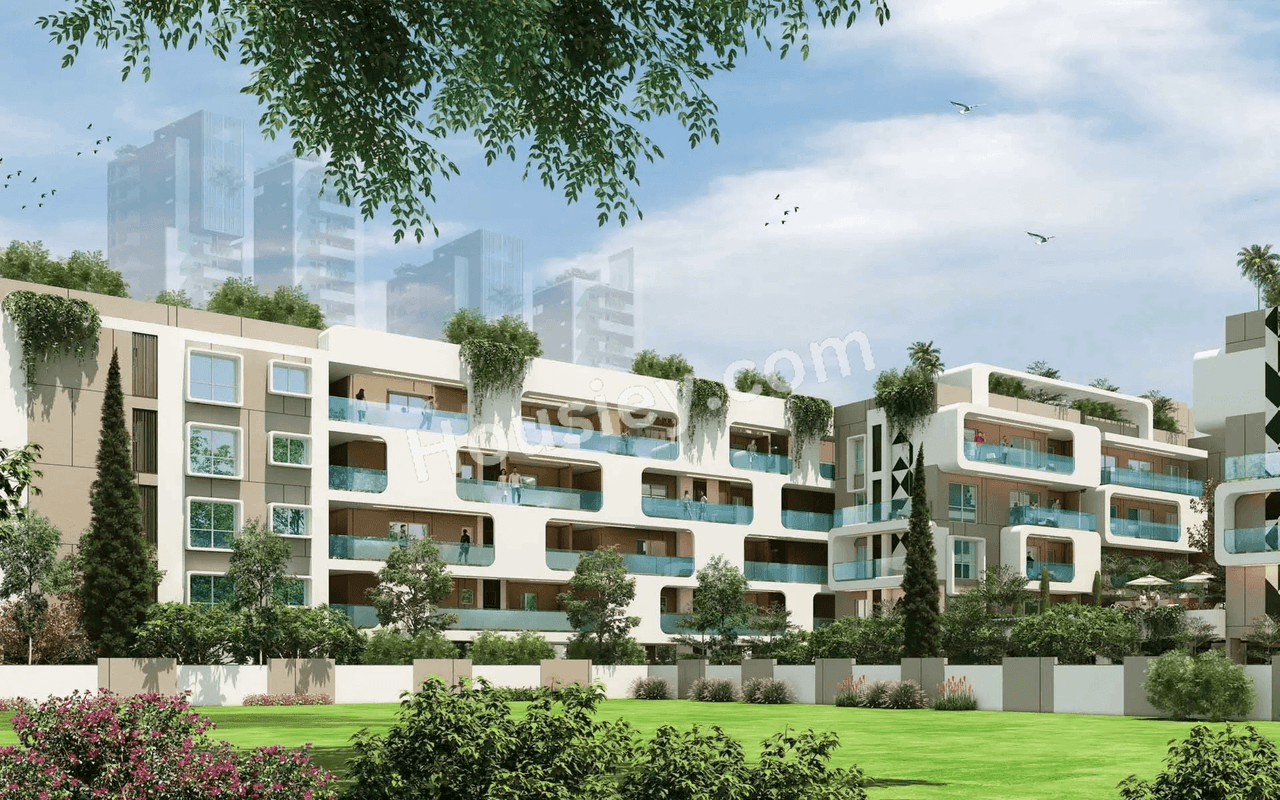 Infinity Green Woods