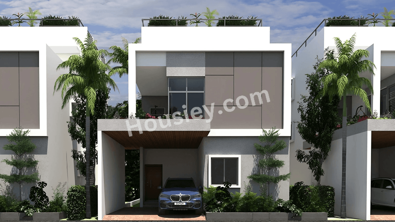 Konig Fortune County