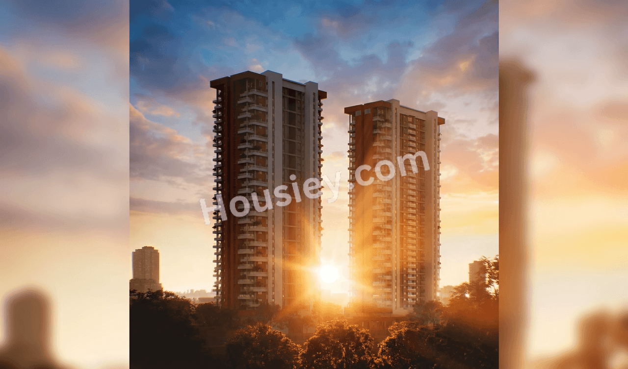 Livingwalls True North