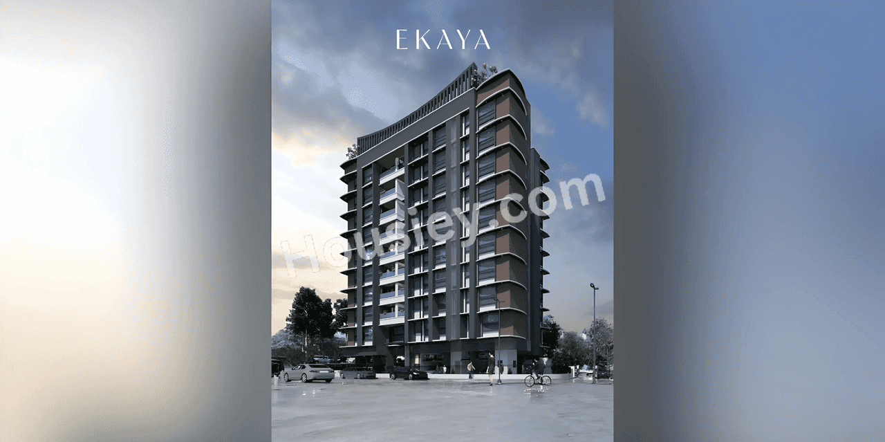 Project image 1