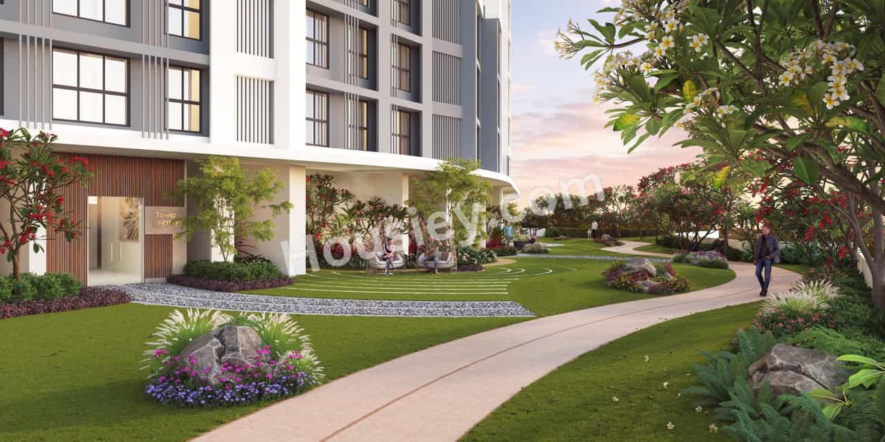 Project image 13