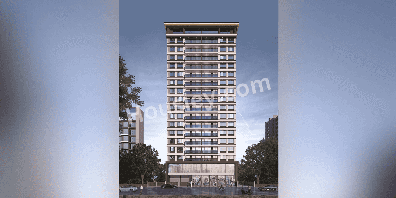 Project image 1