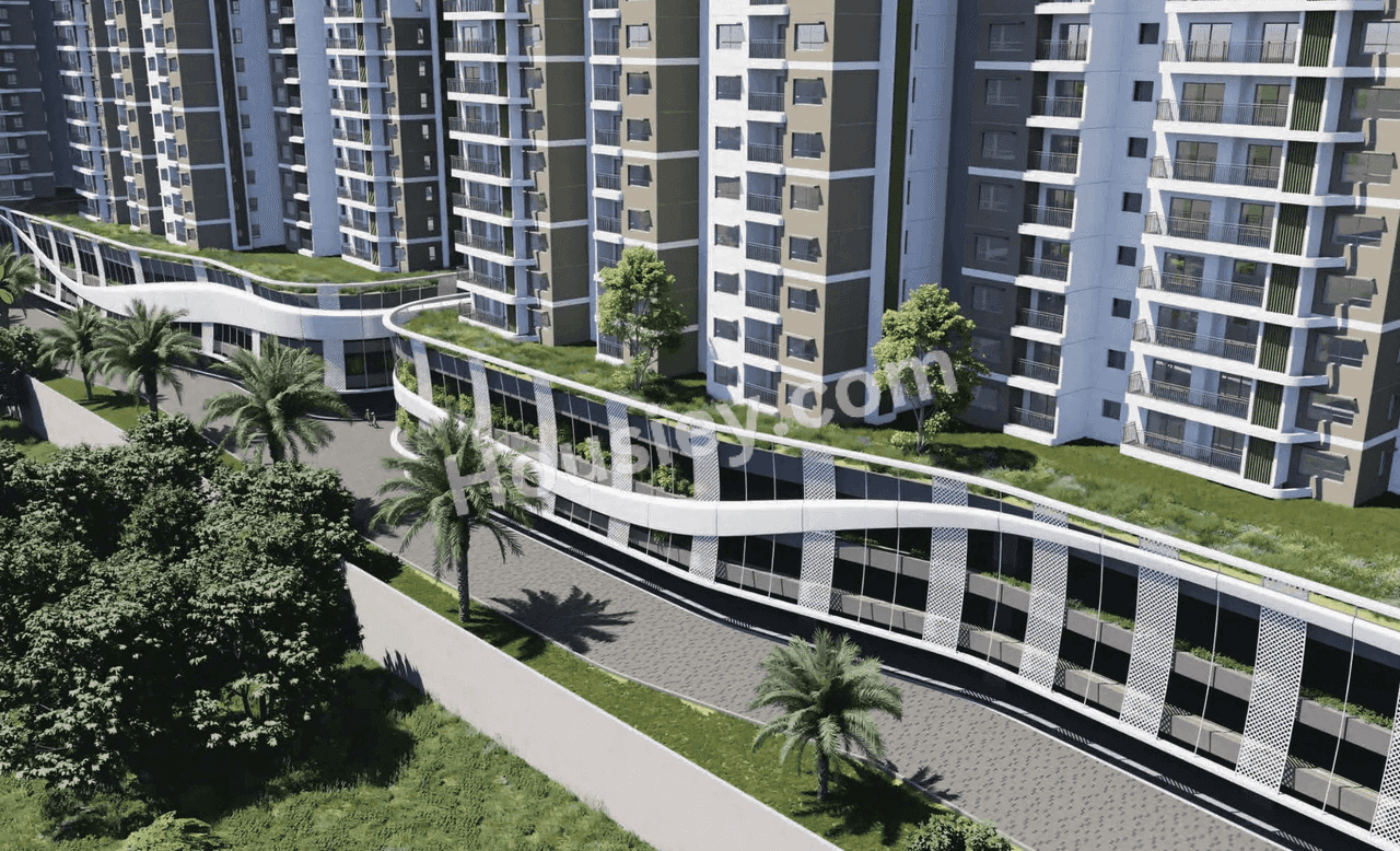 Project image 12