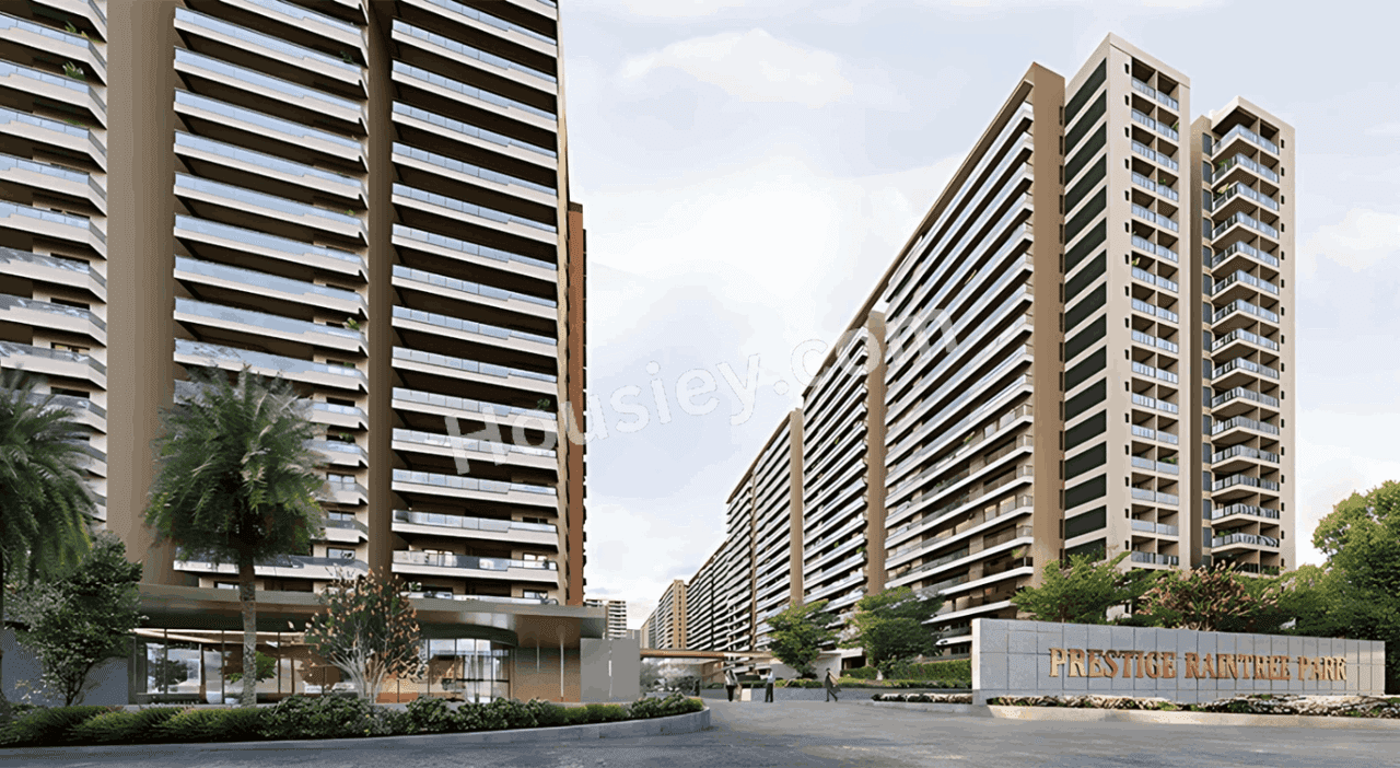 Project image 8