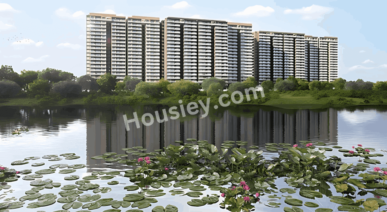 Project image 11