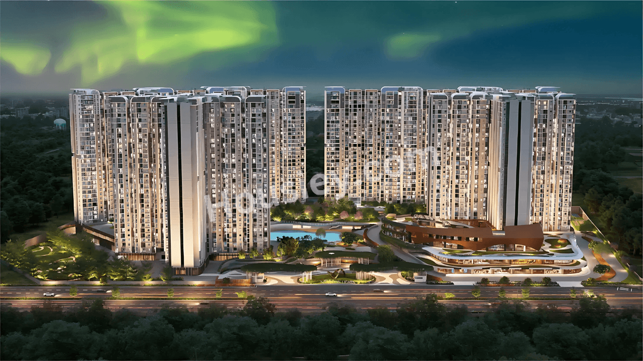 Purva Northern Lights