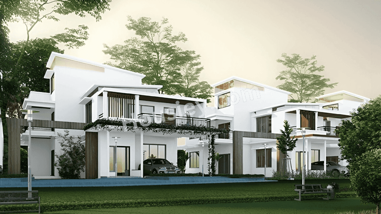 Project image 4